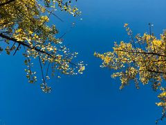 -贵阳市花溪国家城市湿地公园