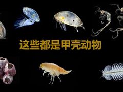 -天津自然博物馆