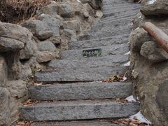 -高尔山公园