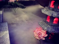 -碧露轩·大益茶体验馆(镇江路店)