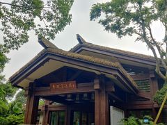 -青城道汤池