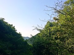 -东海大峡谷