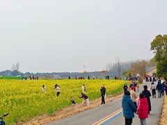 -崔岗艺术村