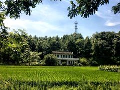 -湖南四明山国家森林公园
