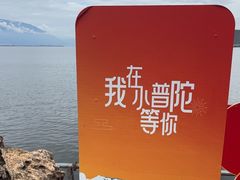 -小普陀