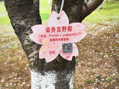 -堤角公园