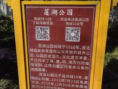 -莲湖公园