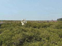 -北海金海湾红树林生态旅游区