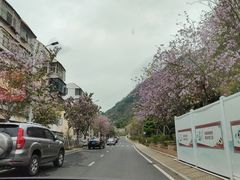 -小南山公园