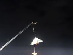 -南宁花花大世界景区