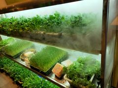 新鲜直达-鲜货俚鲜火锅(青果路店)
