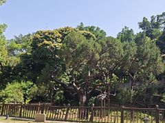 -草庵摩尼教遗址公园