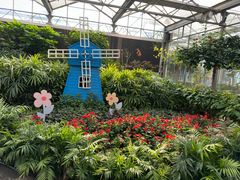 -南宫五洲植物乐园