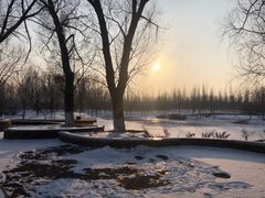 -东郊湿地公园
