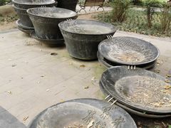 -沙河三洞古桥公园