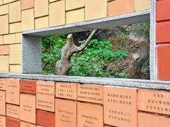-香港大学