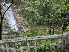 -鼎湖山风景区