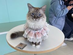 -怪兽屋·羊驼·猫咖·狗咖(俊华广场店)