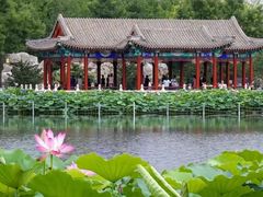-西海子公园
