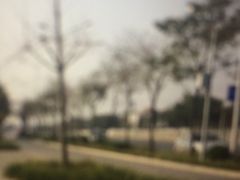 -丰台科技园生态主题公园