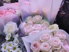 -花鸟鱼虫鲜花绿植市场(玉泉路店)