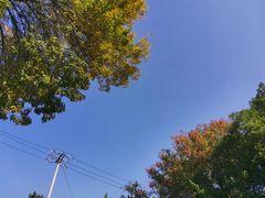 -玲珑塔公园