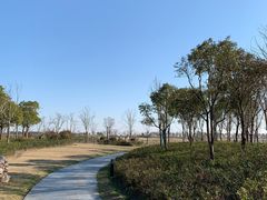 -春花秋色城市公园