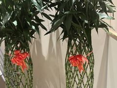 -兴福楼(通州店)