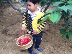 iphone_upload_pic-大连北马山庄