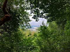 -紫金山山顶公园