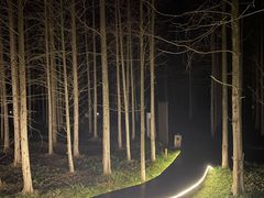 -黄海国家森林公园