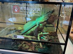 -FAIRYLAND龙族星球主题餐厅(凯丹广场店)