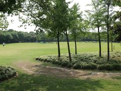 -上海汽车博览公园-北门停车场