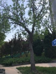 -大望京儿童游乐场