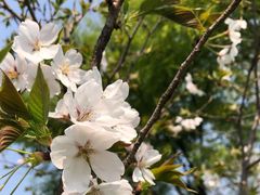 -杭州城北体育公园