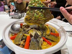 姜辣烧甲鱼-东湖印象汉寿特色甲鱼钵子菜(渔人码头店)