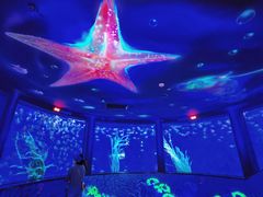 -沈阳海洋探索中心