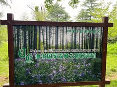 -日照海滨国家森林公园
