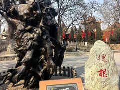 -大槐树寻根祭祖园