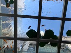 -蜜舍咖啡(洋人街店)