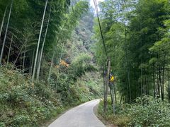 -水墨汀溪风景区