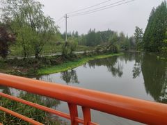 -桤木河湿地公园