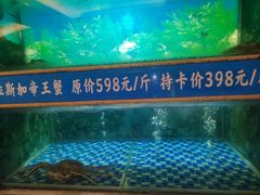 -金龙渔港(双楠店)