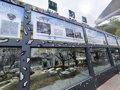 -青藏高原野生动物园