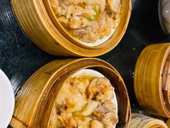 -食为先(Shark Fin)