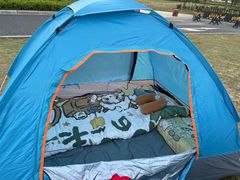 -春花秋色城市公园