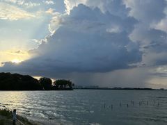 -瑶湖郊野森林公园