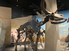 -国家自然博物馆