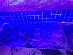 -山里屯铁锅炖·东北菜(康桥店)