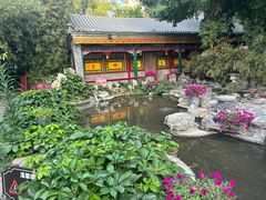 -白家大院·王府宫廷菜(苏州街店)